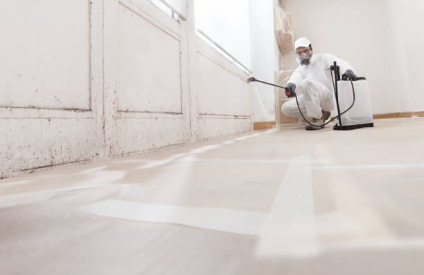 24/7 Emergency Mold Remediation experts in Pendleton, OR
