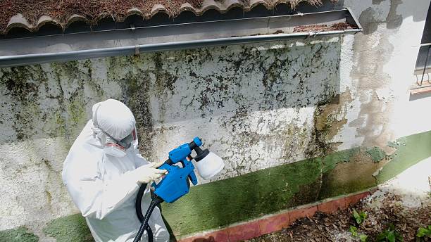Trusted Mold Remediation service in Pendleton, OR - Cheap Mold Removal